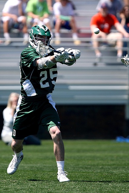 训练成果 训练成果